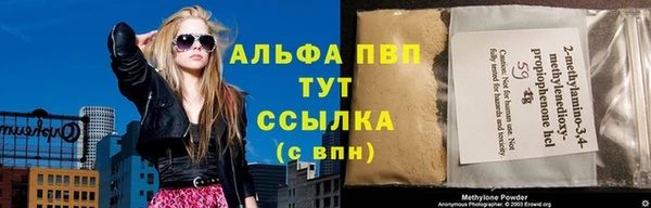 эйфоретик Баксан