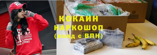эйфоретик Баксан