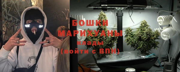 эйфоретик Баксан
